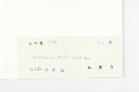 土丁桂藏品圖，第3張