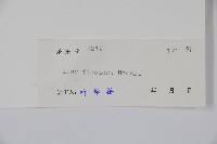 臺灣糊樗藏品圖，第2張