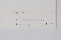 登錄號:S045567藏品圖，第2張