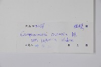 金錢豹藏品圖，第2張