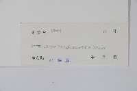 登錄號:S045713藏品圖，第2張