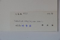 高山莢迷藏品圖，第2張