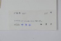 冇骨消藏品圖，第2張