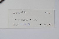 青榨槭藏品圖，第2張