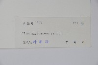 大果冬青藏品圖，第2張