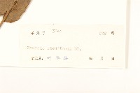 閩粵千里光藏品圖，第3張