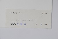 飛蛾槭藏品圖，第2張