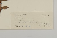 登錄號:S045952藏品圖，第3張