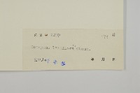 大丁黃藏品圖，第3張