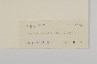 瓜槌草、漆姑草藏品圖，第3張