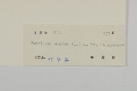 石胡荽、吐金草藏品圖，第3張