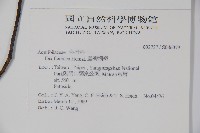 臺灣糊樗藏品圖，第2張