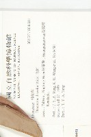 毛柿藏品圖，第5張