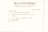 蟛蜞菊藏品圖，第2張