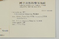 裸花鹼蓬藏品圖，第2張