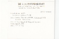 九爪藤藏品圖，第2張
