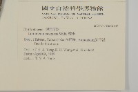 欖李藏品圖，第2張