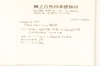 鯽魚膽、闊苞菊藏品圖，第2張
