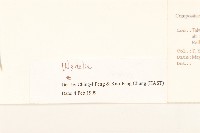 登錄號:S046118藏品圖，第3張