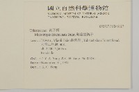 福建賽衛矛、福建假衛矛藏品圖，第2張