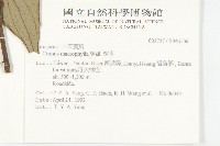 梜木藏品圖，第2張