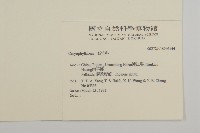 登錄號:S046144藏品圖，第2張