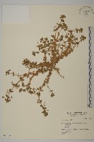 登錄號:S046145藏品圖，第1張