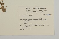 登錄號:S046145藏品圖，第2張