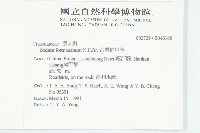 台灣佛甲草、石板菜藏品圖，第2張