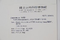 平伏莖白花菜、成功白花菜藏品圖，第2張