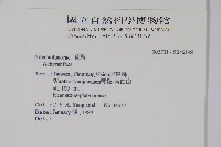 登錄號:S046198藏品圖，第2張