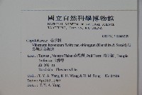 長橢圓葉莢迷藏品圖，第2張