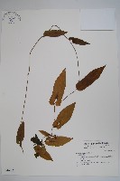 登錄號:S046212藏品圖，第1張