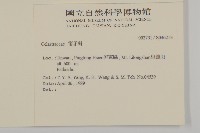 登錄號:S046213藏品圖，第2張