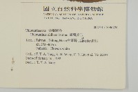 臺灣及己藏品圖，第2張