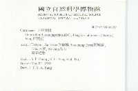 四照花藏品圖，第2張