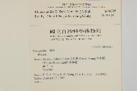 柔毛艾納香藏品圖，第2張