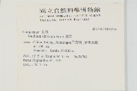 蒼耳藏品圖，第2張