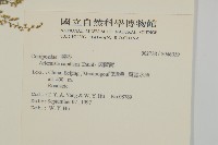 茵蔯蒿藏品圖，第2張