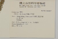 大耔蒿藏品圖，第2張