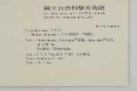 石竹、洛陽花、剪絨花藏品圖，第2張