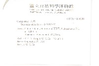 銀背風毛菊藏品圖，第2張