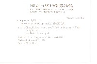 蓖苞風毛菊藏品圖，第2張