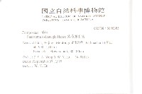 紫苞鳳毛菊藏品圖，第2張