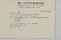 白蓮蒿藏品圖，第2張