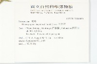 狗娃花藏品圖，第2張