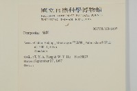 登錄號:S046407藏品圖，第2張