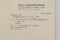 小紅菊藏品圖，第2張