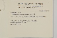 白朮藏品圖，第2張