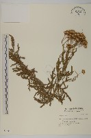 登錄號:S046452藏品圖，第1張